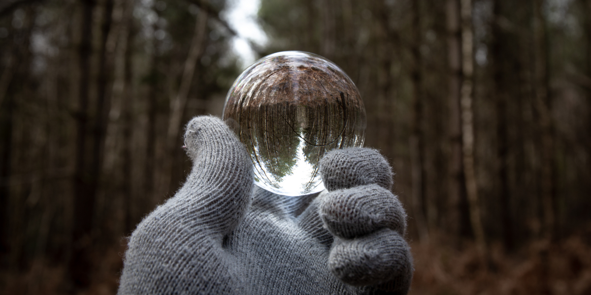 An optical illusion featuring a glass sphere, creating a distorted and fascinating view of the surrounding scene.